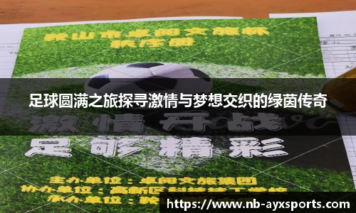 足球圆满之旅探寻激情与梦想交织的绿茵传奇